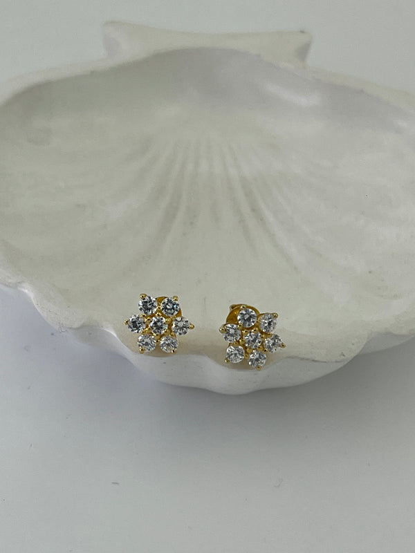 925 silver earrings