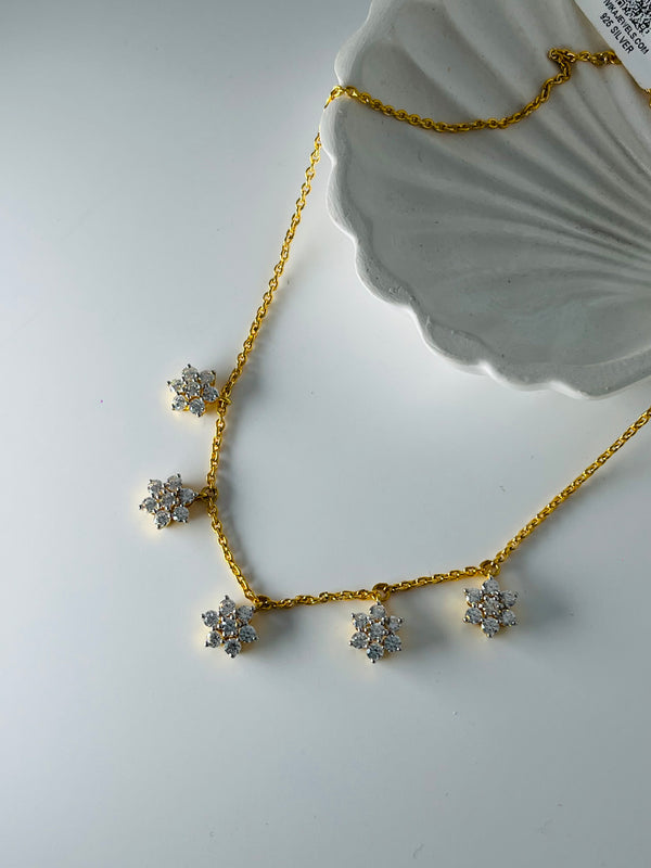 925 silver nakshatra charm chain